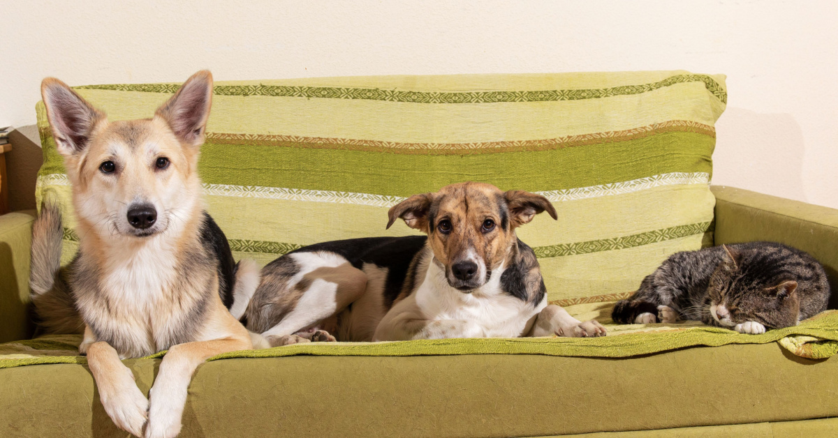Insurance renters cost benefits coverage much does cover risks quotes Renters Insurance: Why It’s a Must-Have for Tenants