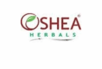 Trusted Online Brands for Herbal Supplements