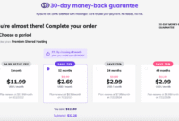 How to Choose a Hosting Plan for Your Blog Made Easy