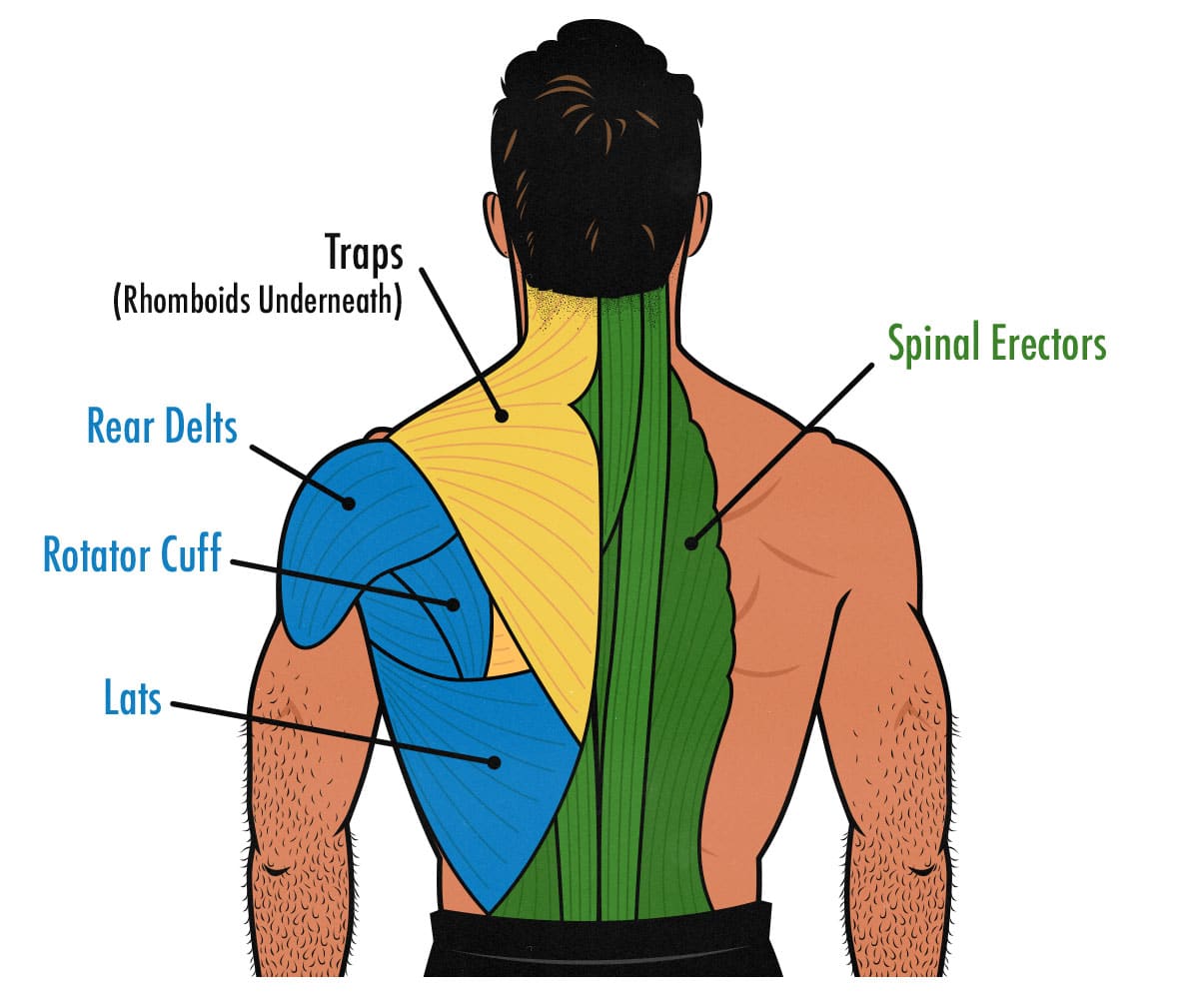 How to Train All Your Back Muscles Back-to-School Shopping Apps for American Families