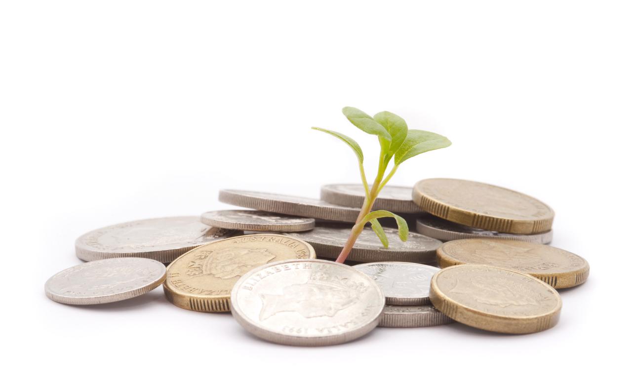 Free Stock Photo 4971 growing finances | freeimageslive The Growth of Telehealth Apps in the US Market